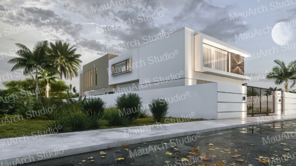 rendering 2